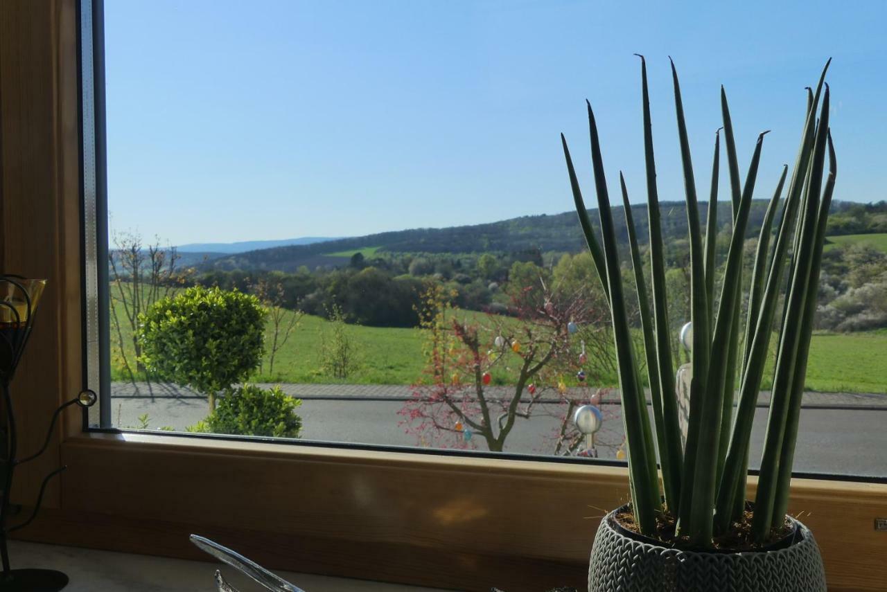 Apartmán Fewo Sophia Idar-Oberstein Exteriér fotografie