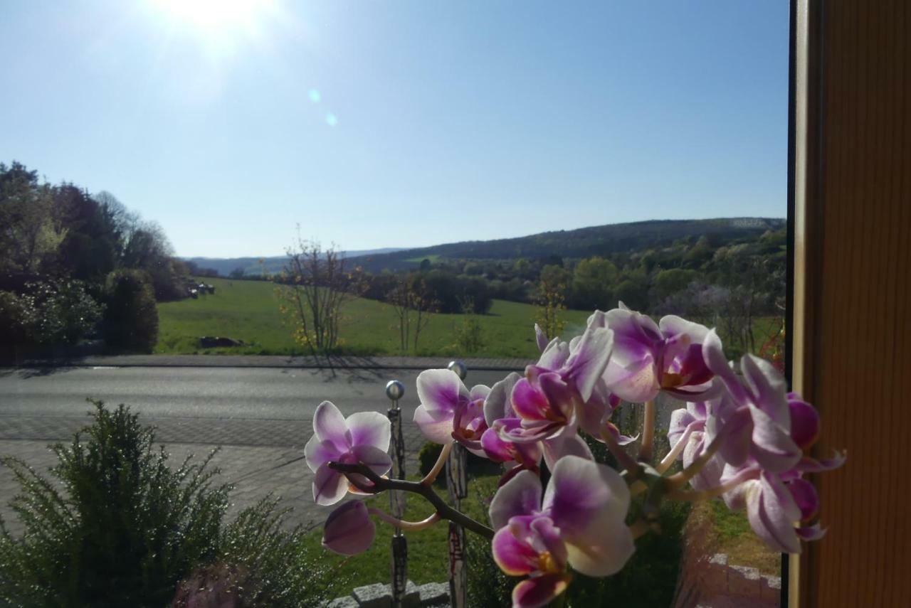 Apartmán Fewo Sophia Idar-Oberstein Exteriér fotografie